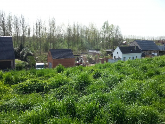 2015-04-16 11.57.27.jpg