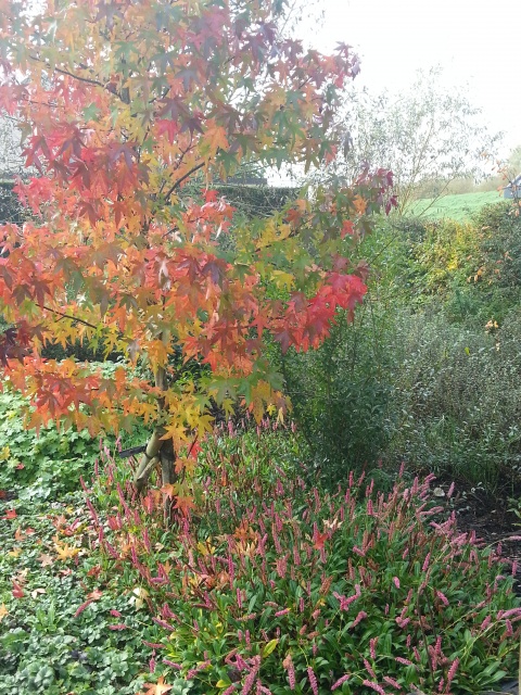 2015-10-22 12.40.47.jpg