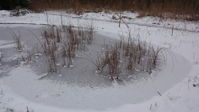 P1190214.JPG P1190214.JPG