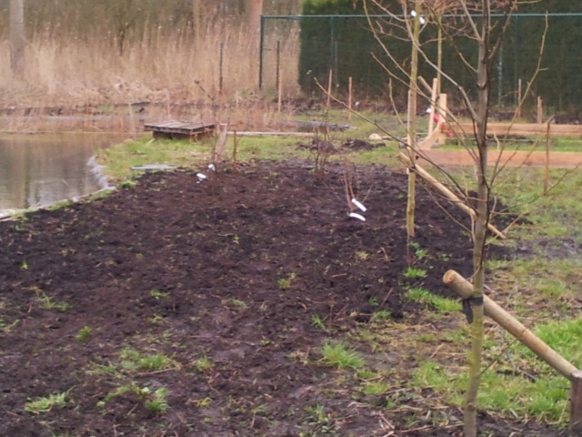 20130310_164550.jpg 20130310_164550.jpg