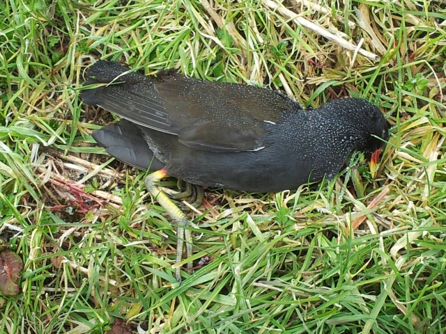 20130223_111924.jpg 20130223_111924.jpg