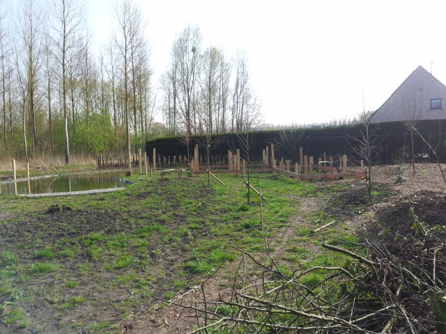 20130421_170249.jpg