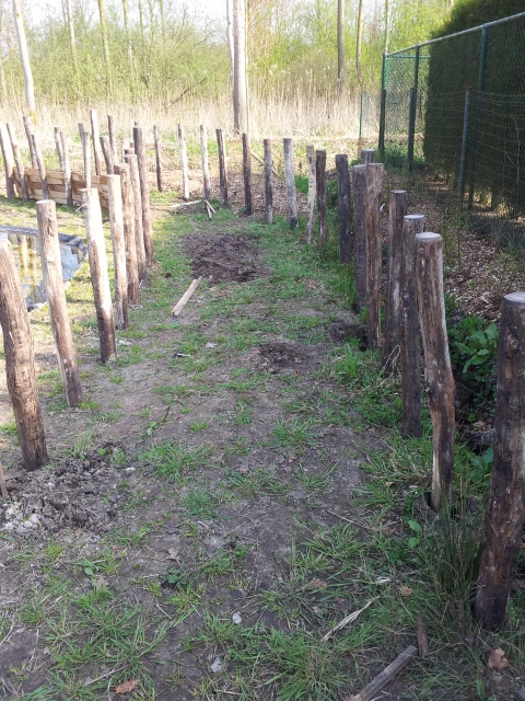 20130421_170340.jpg 20130421_170340.jpg