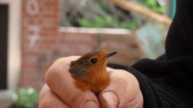 P4300206.JPG P4300206.JPG