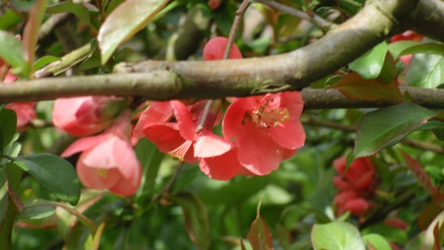 P4300218.JPG P4300218.JPG