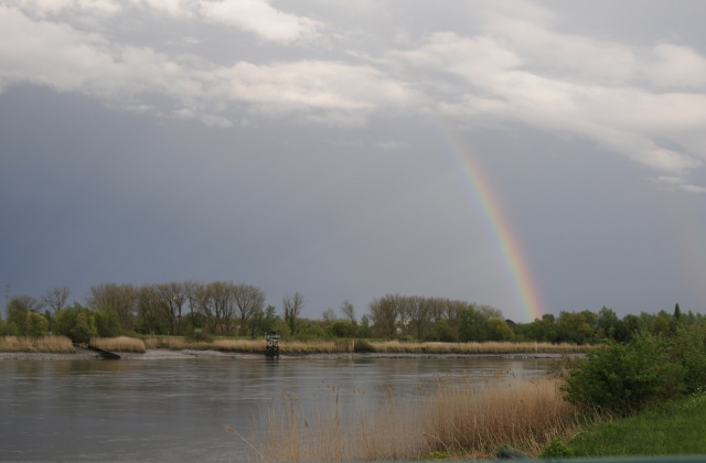 _DSC0960.JPG