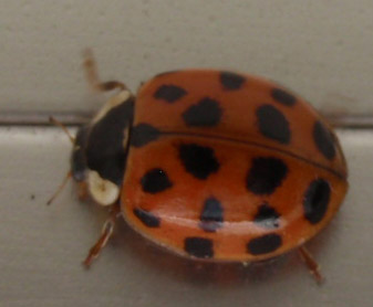 P5030209.JPG P5030209.JPG