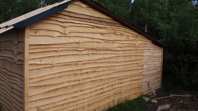 P6290217.JPG P6290217.JPG