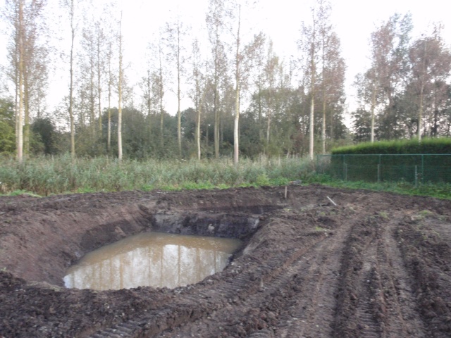 P9300050.JPG P9300050.JPG