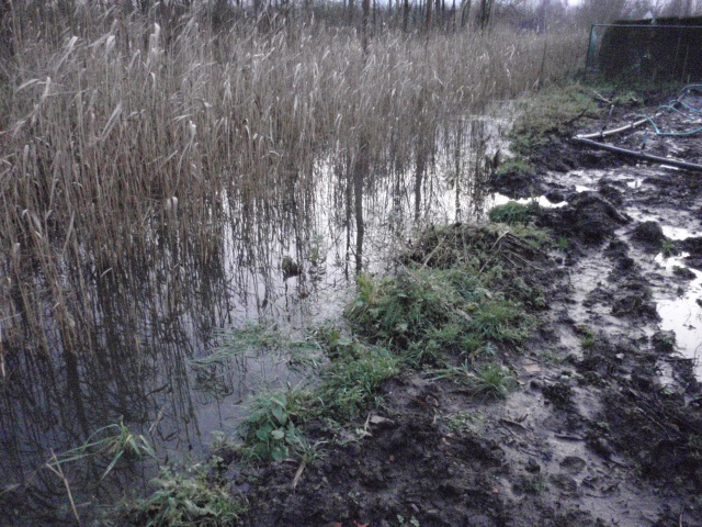 PC180092.JPG PC180092.JPG