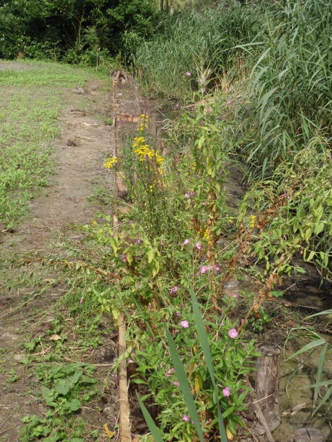 P8150033.JPG P8150033.JPG