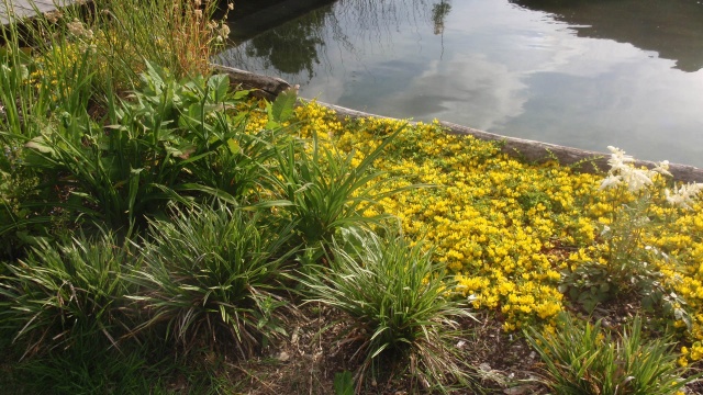 P6180263.JPG P6180263.JPG