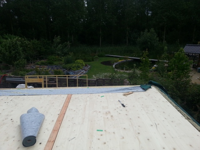 2015-06-23 12.36.52.jpg