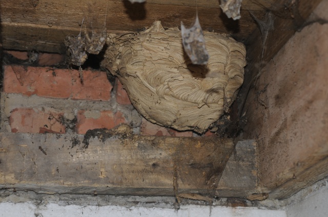 _DSC0710.JPG _DSC0710.JPG