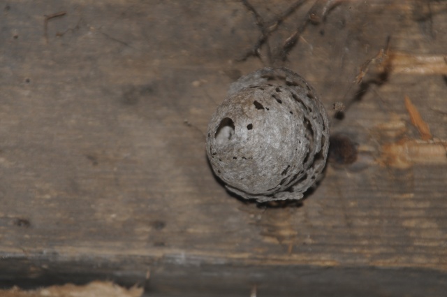 _DSC0711.JPG _DSC0711.JPG