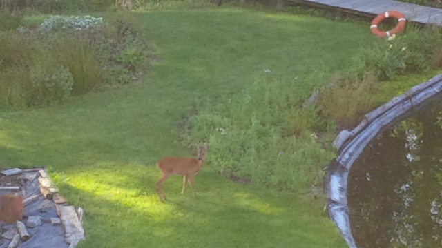 Lab15 Reetje - 2 .jpg