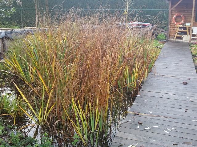 2015-10-22 12.40.01.jpg