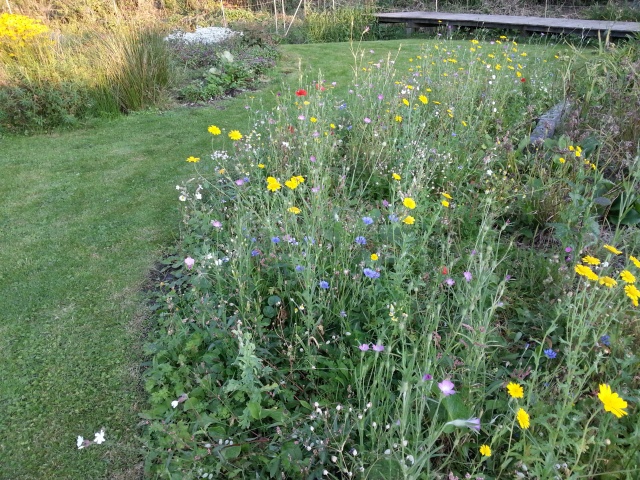 2015-09-10 19.20.49.jpg 2015-09-10 19.20.49.jpg