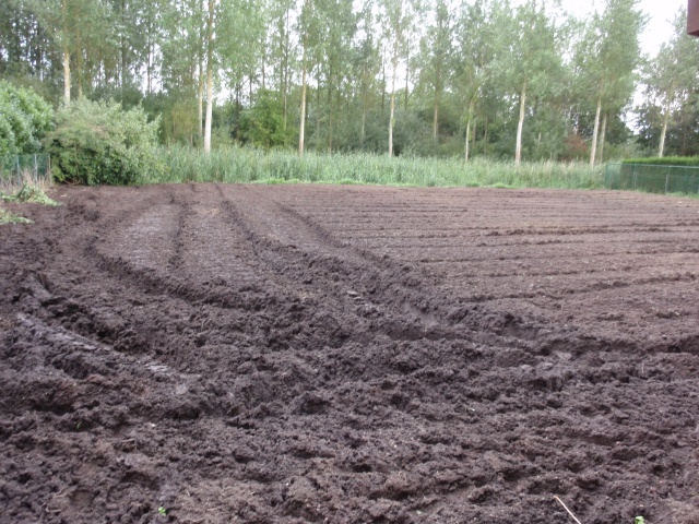 P7270027.JPG P7270027.JPG