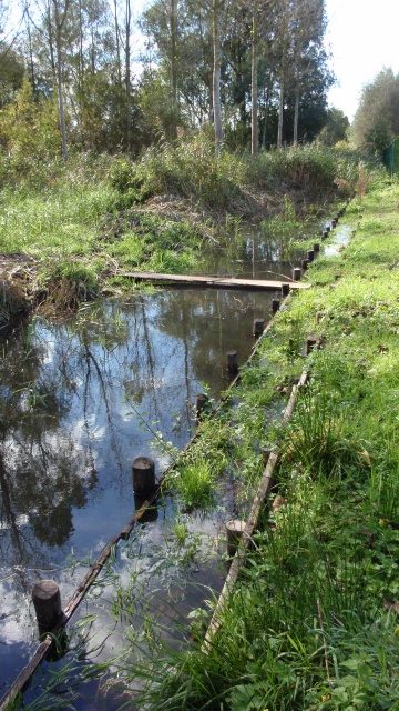 PA070115.JPG PA070115.JPG