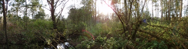 PA140120.JPG PA140120.JPG