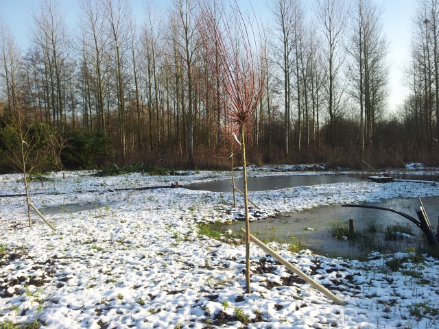 20121208_140038.jpg 20121208_140038.jpg