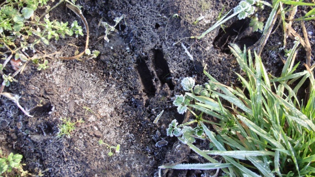 P1120206.JPG P1120206.JPG